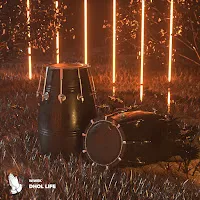Wiwek — Dhol Life — обложка